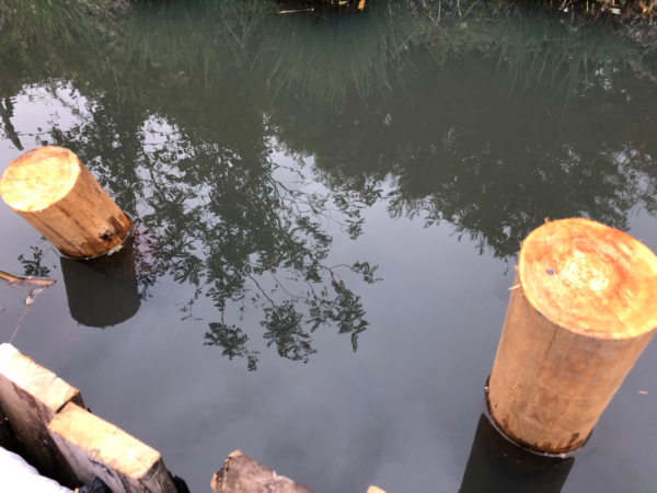 タナゴ釣り場 Wakuwakufield 野田幸手園