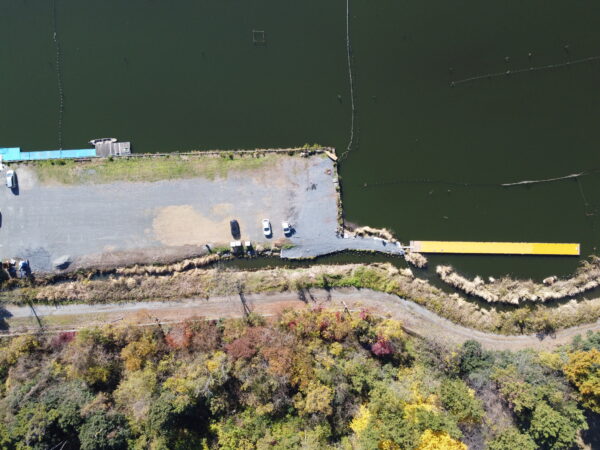 タナゴ釣り場 Wakuwakufield 野田幸手園